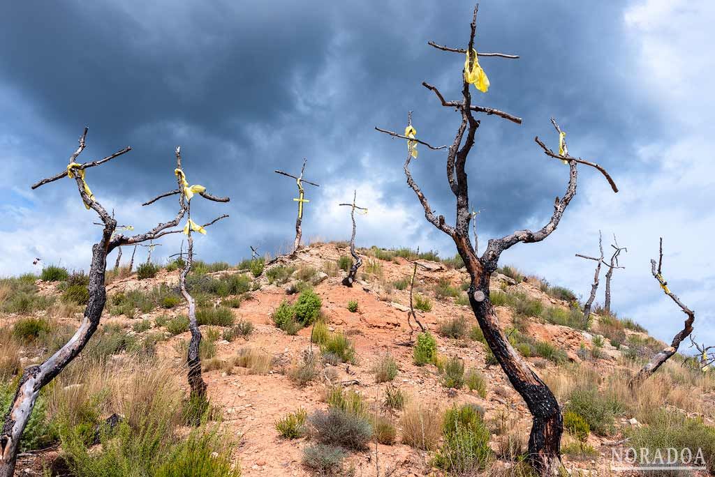 Bosque de las Cruces