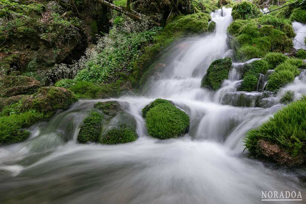 Nacederos del río Larrondoa, una maravilla natural y desconocida en Álava