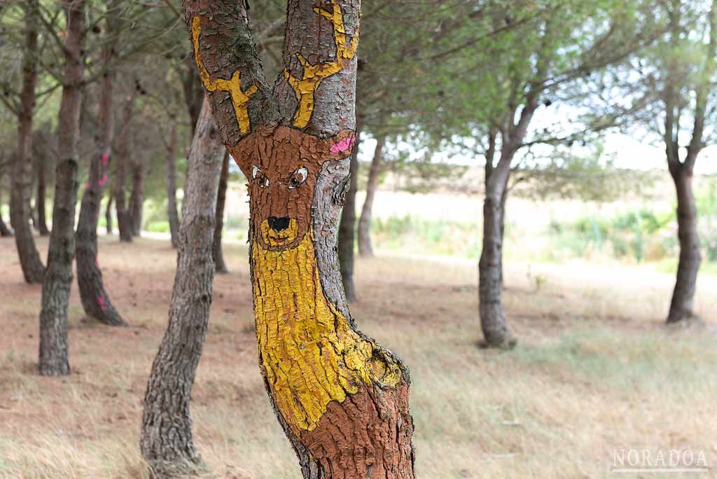 Bosque Biodivertido de Logroño