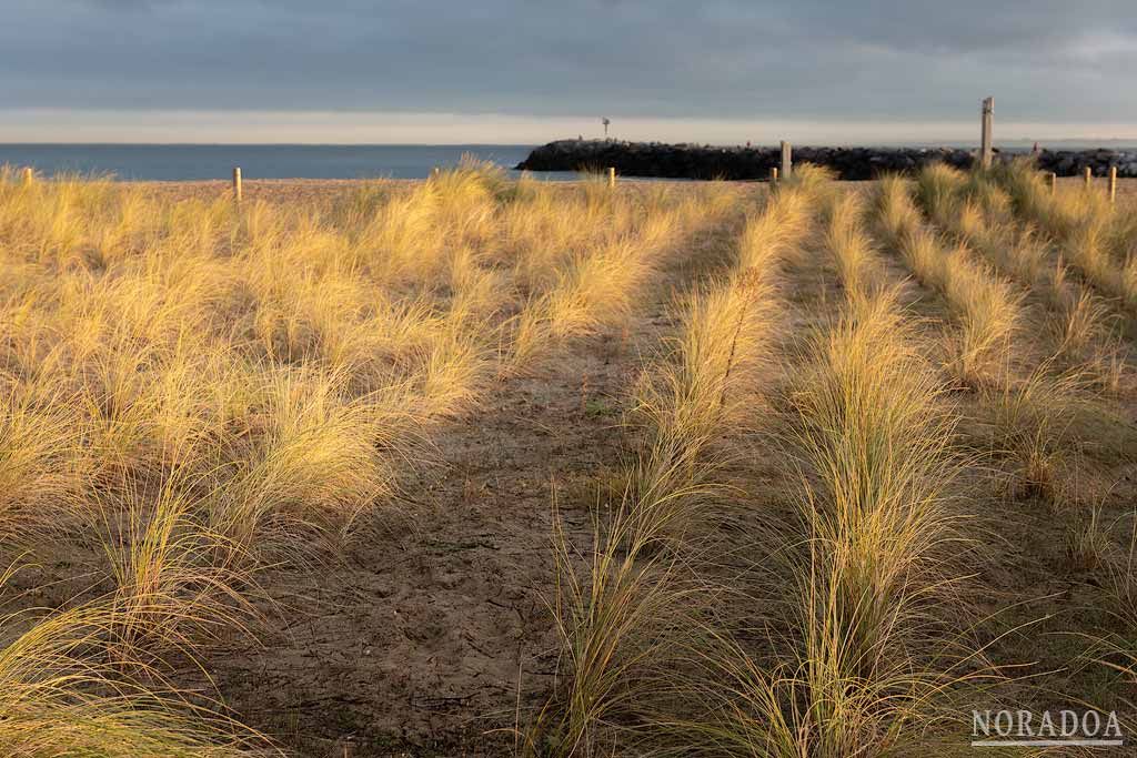 Playa de Hondarribia