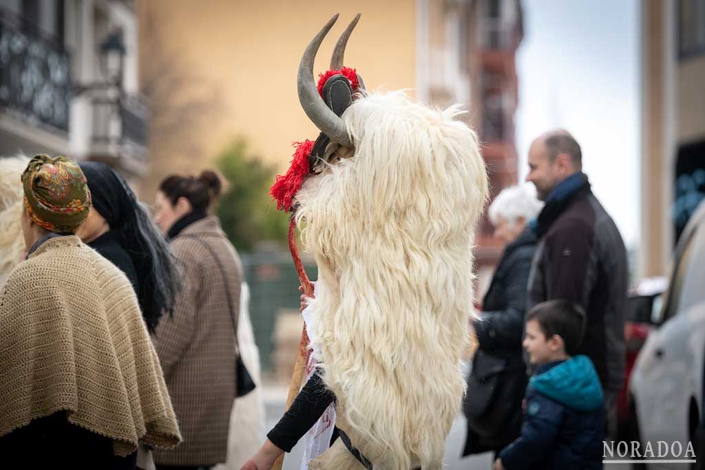 Carnaval rural de Alsasua / Altsasu en Navarra