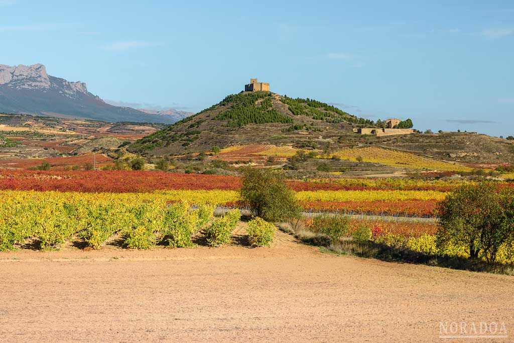 Viñedos en otoño con el castillo de Davalillo de fondo