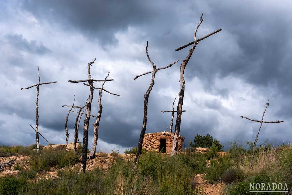 Bosque de las Cruces