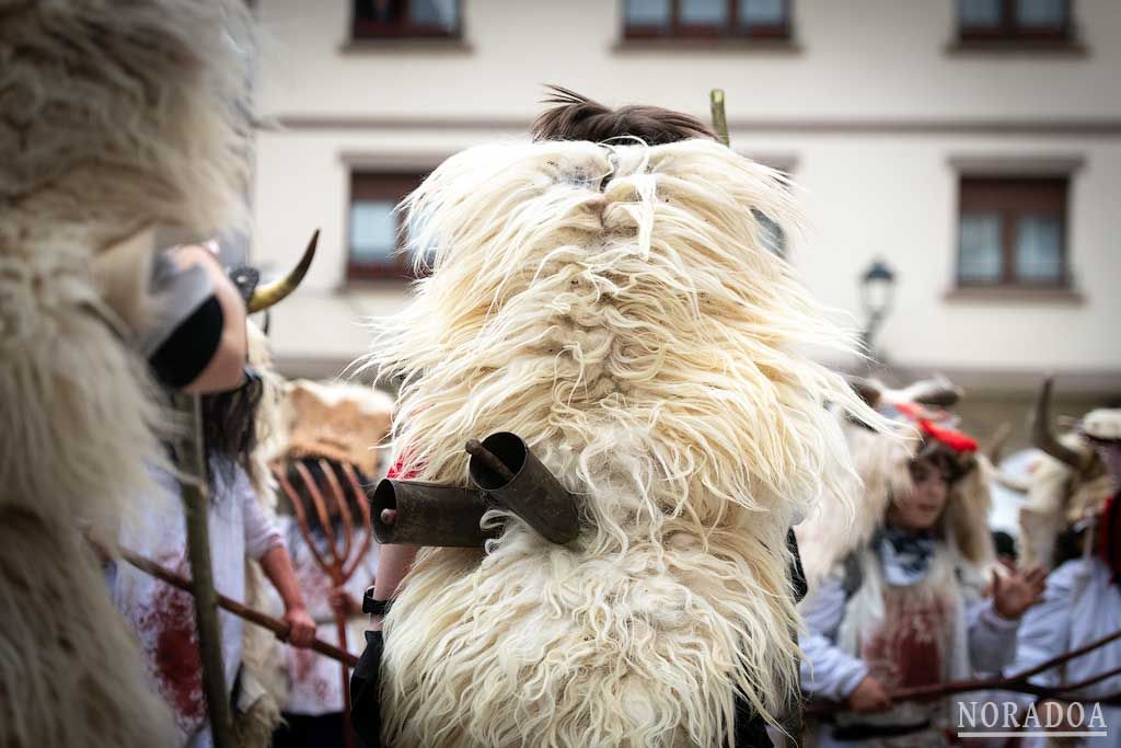 Carnaval rural de Alsasua / Altsasu en Navarra