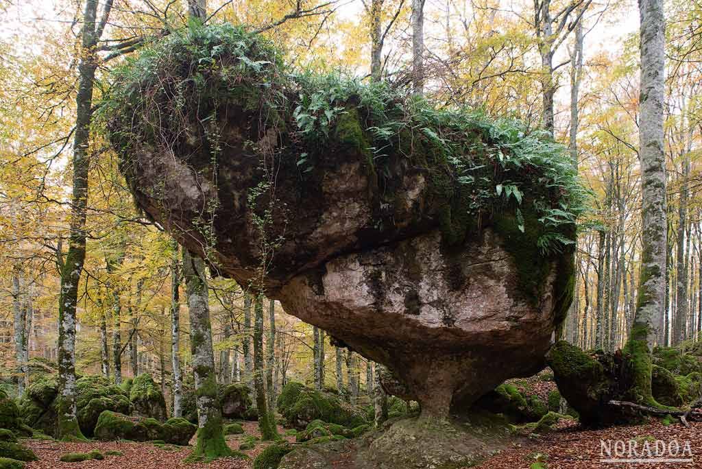 Bosque Encantado de Urbasa en Navarra