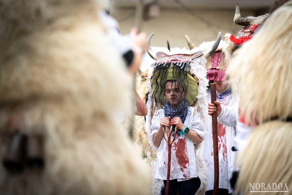 Carnaval rural de Alsasua / Altsasu en Navarra