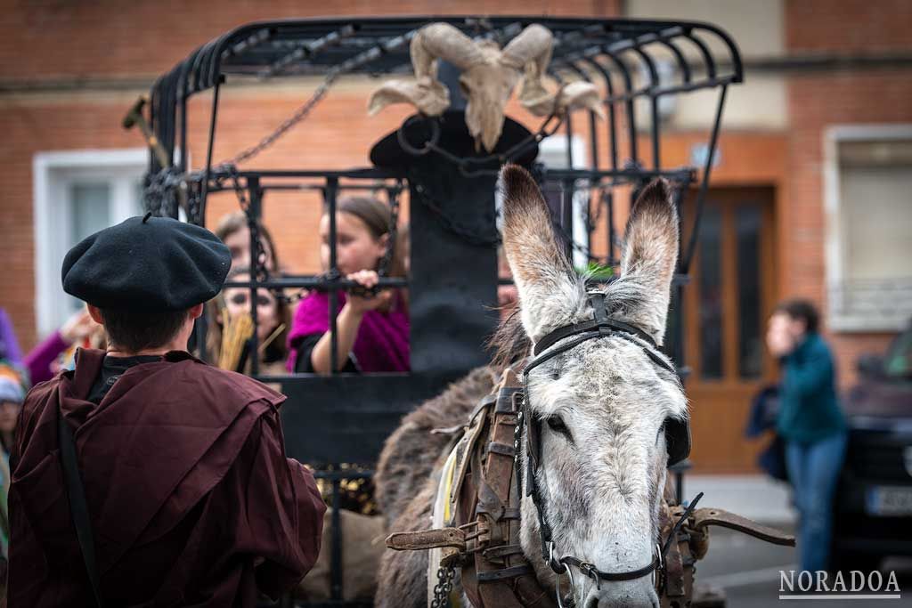 Carnaval rural de Alsasua / Altsasu en Navarra