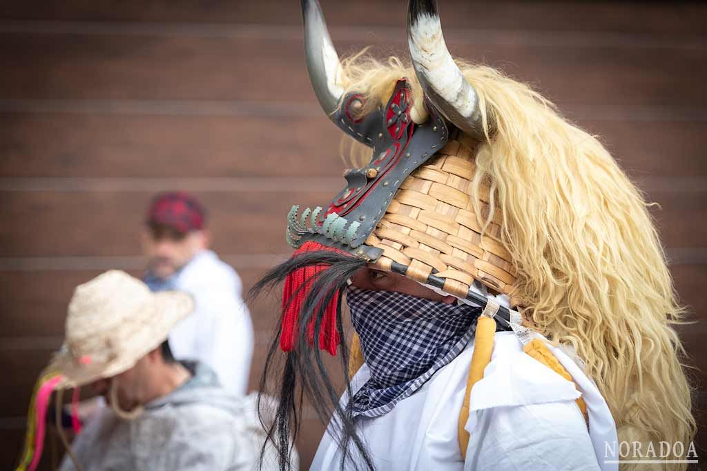 Carnaval rural de Alsasua / Altsasu en Navarra