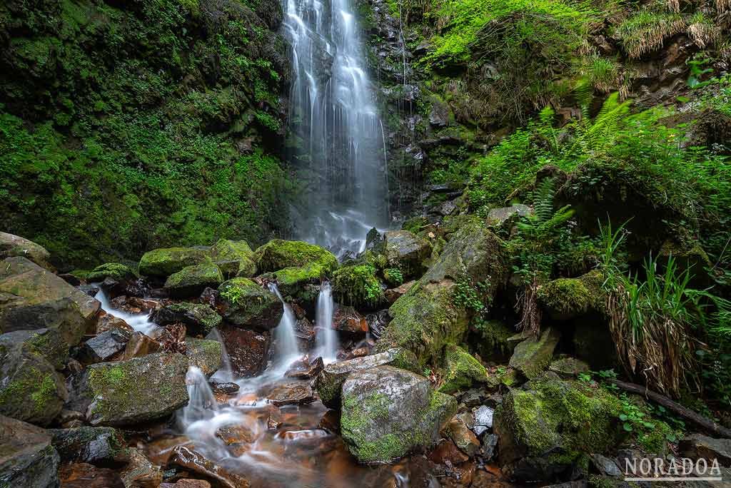 Cascada del hayedo de Belaustegi en Bizkaia