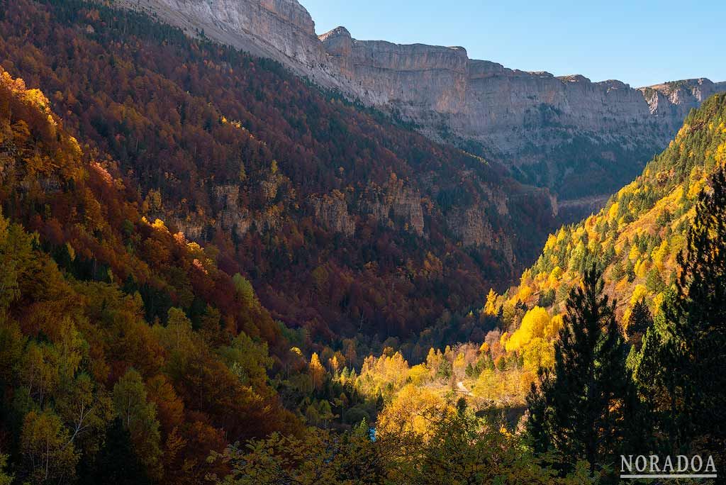 Hayedo de Ordesa en Huesca