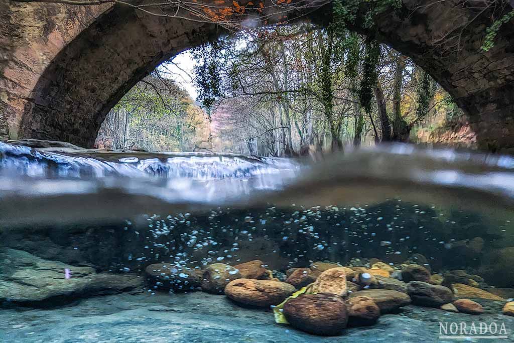 Fotografía bajo el agua con el teléfono pixel 7