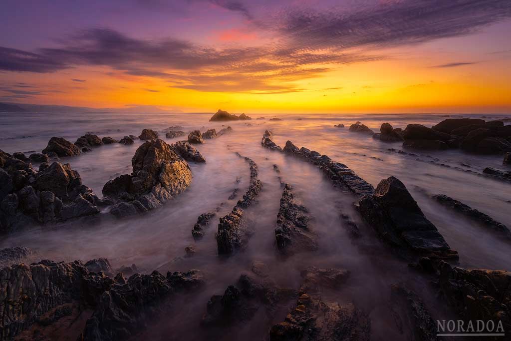 Cola de Dragón en Barrika