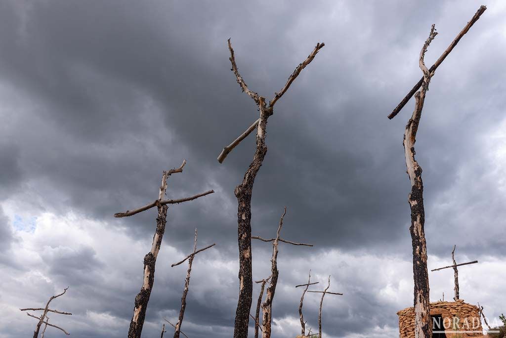 Bosque de las Cruces