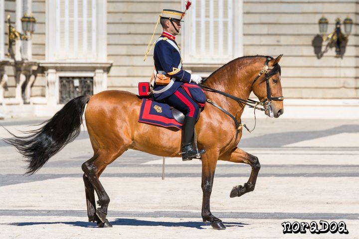 Cambio de Guardia en el Palacio Real de Madrid (España)