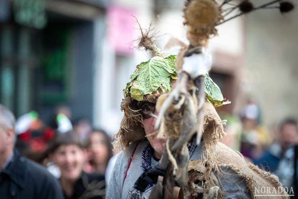 Carnaval rural de Alsasua / Altsasu en Navarra