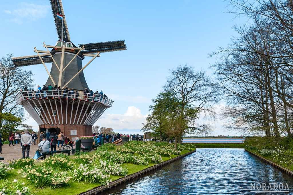 Molino de los Jardines de Keukenhof