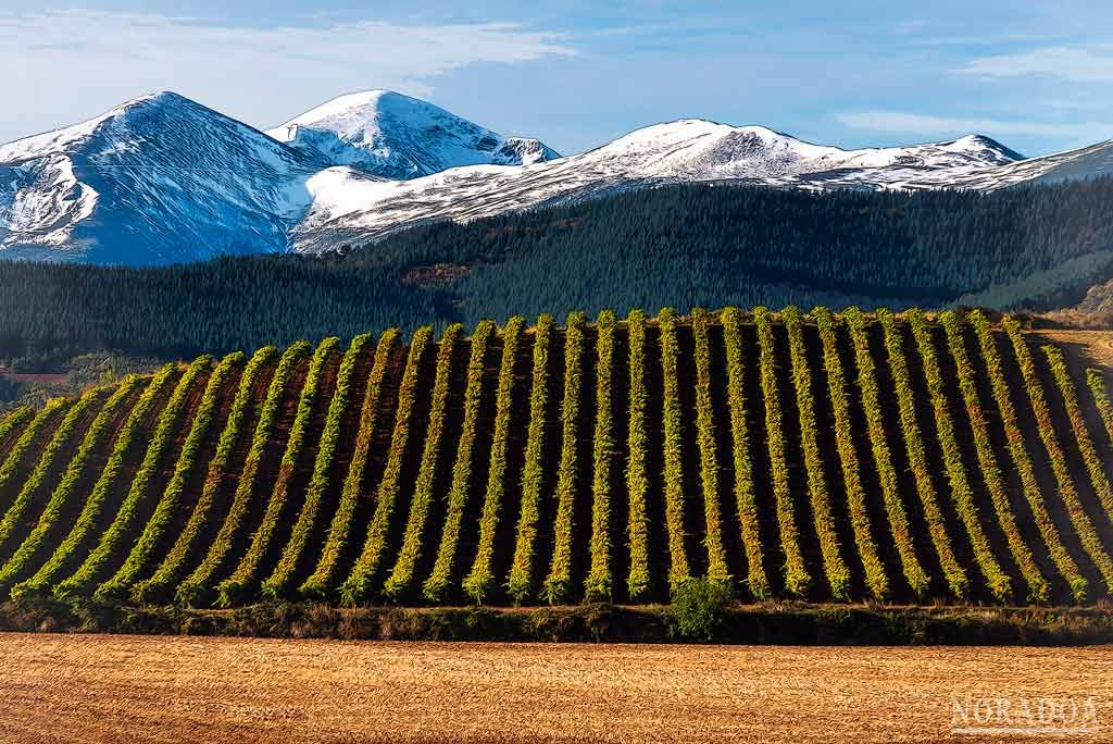 La Rioja en fotos