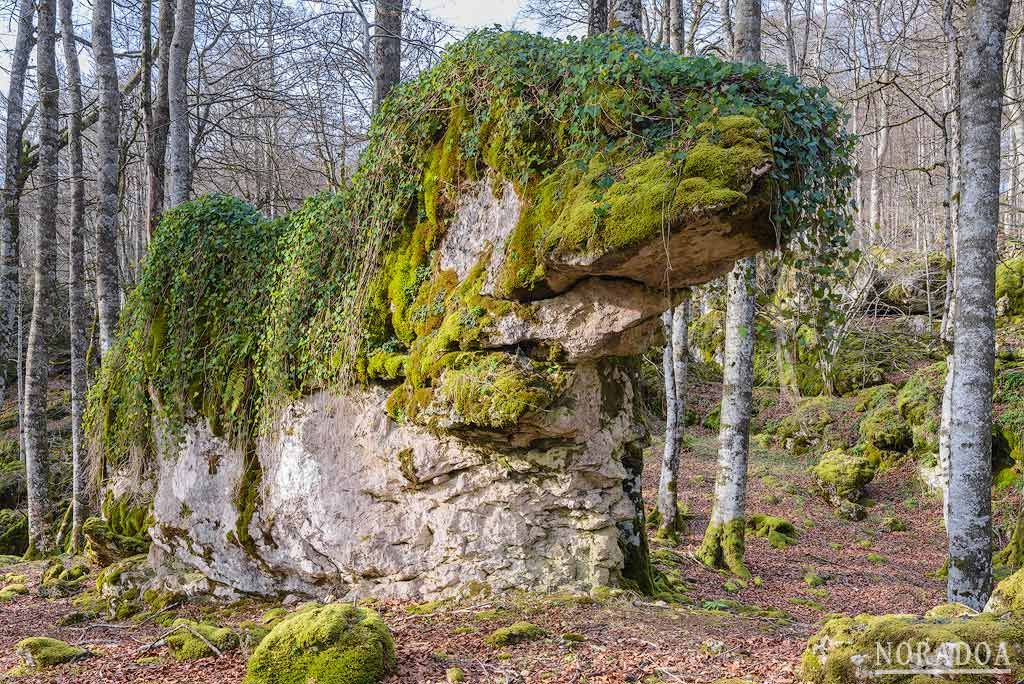 Bosque Encantado de Urbasa en Navarra