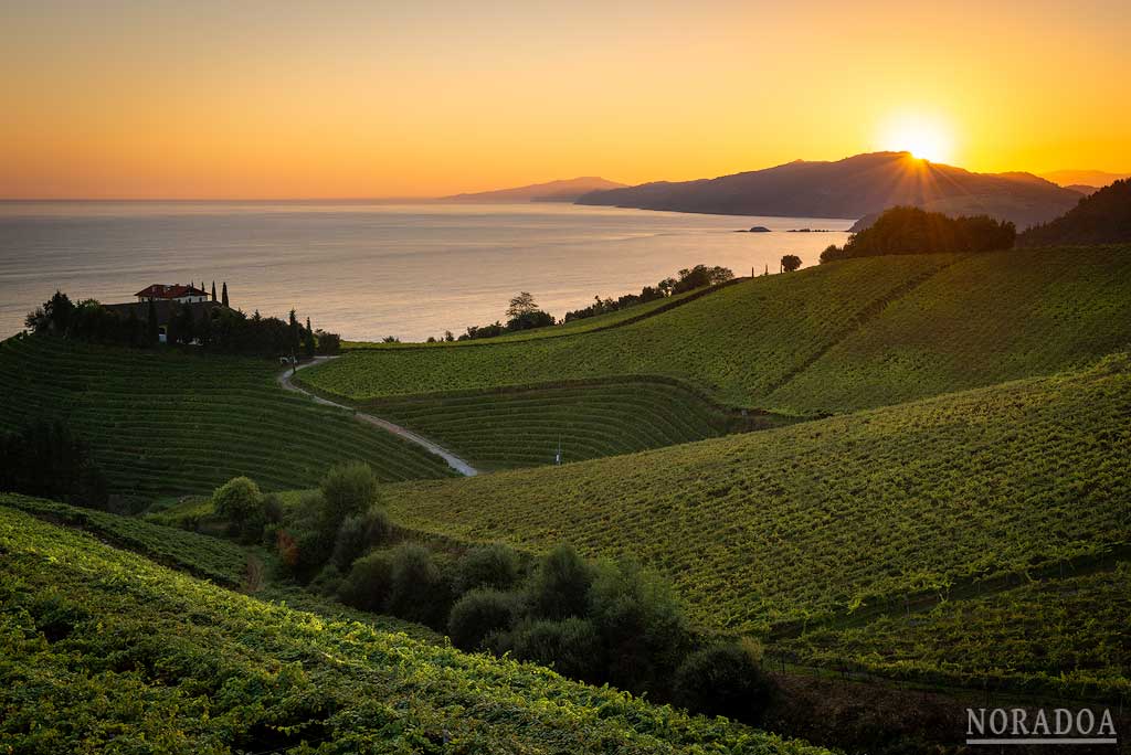 Getaria y los viñedos de txakoli al amanecer