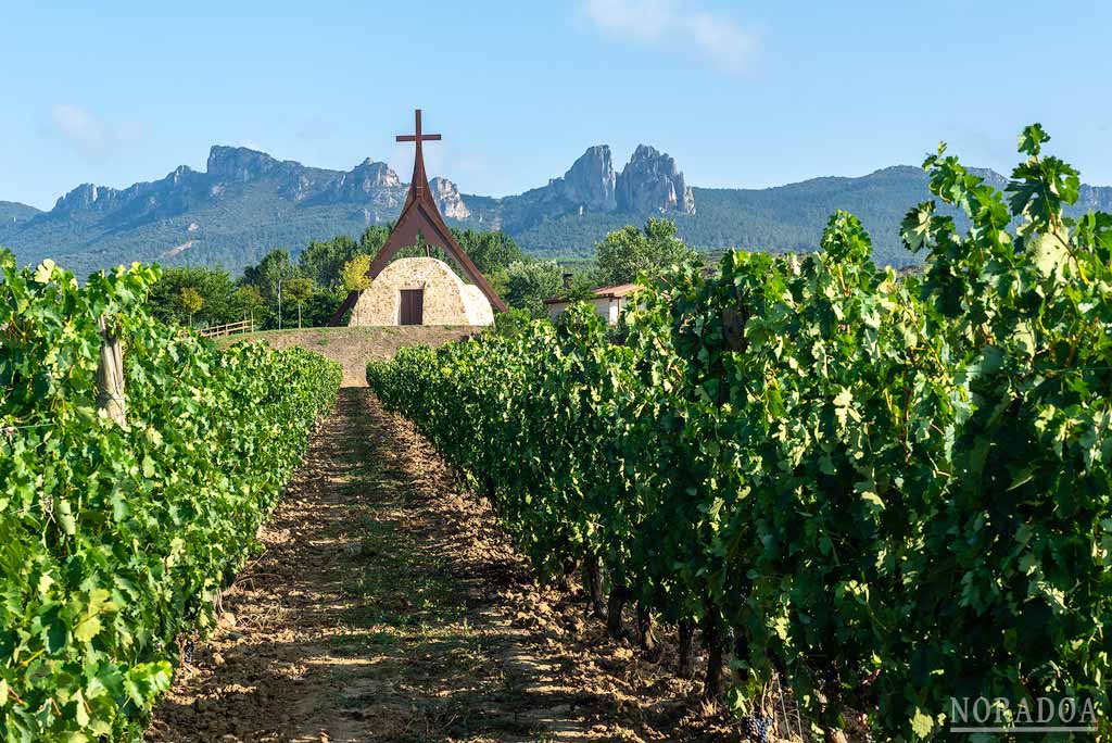 Los viñedos rodean la ermita de la Virgen la Esclavitud en Cihuri