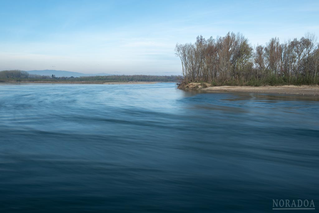 Río Ebro al paso por la reserva natural de los Sotos de Alfaro