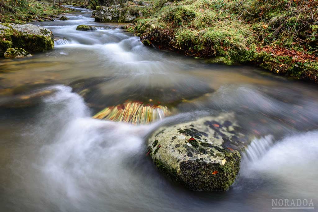 Río Iregua cerca del área recreativa La Blanca