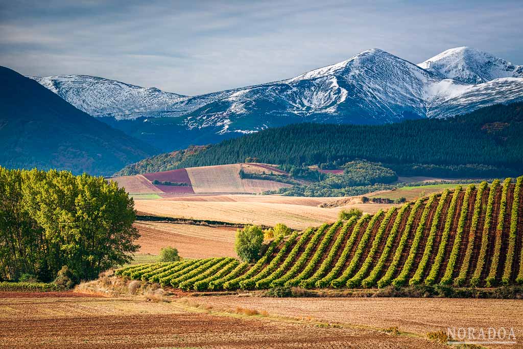 Paisajes de Badarán con la sierra de la Demanda de fondo