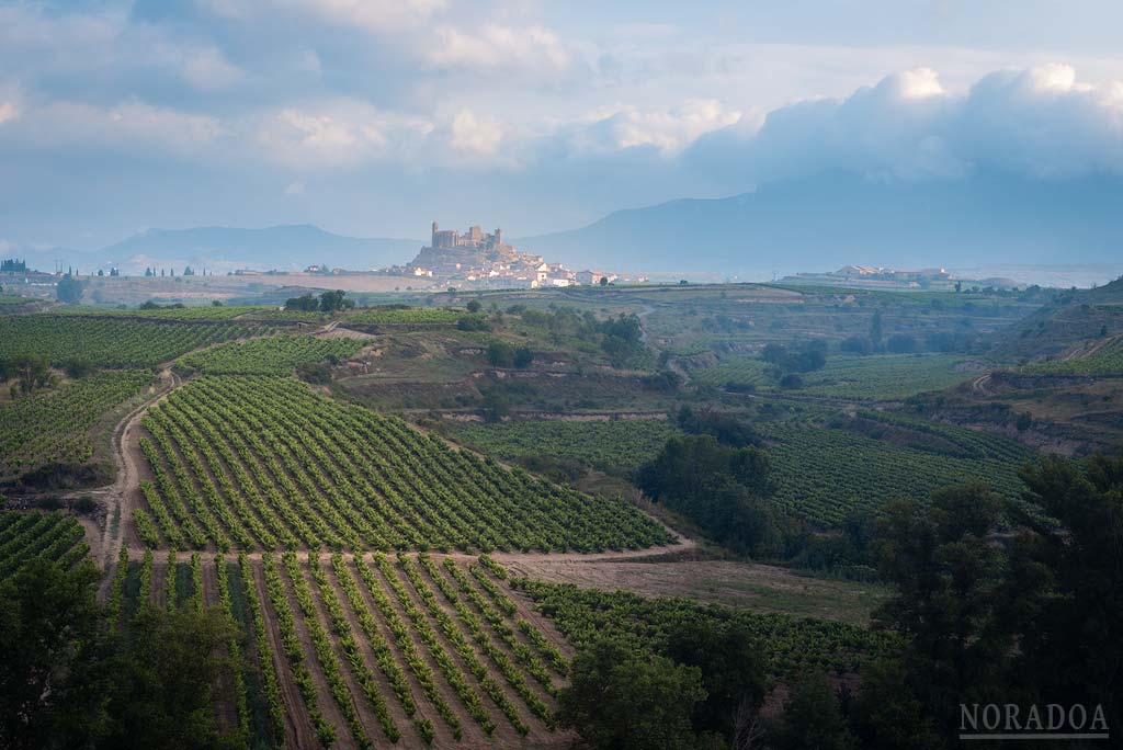 San Vicente de la Sonsierra y los viñedos en verano