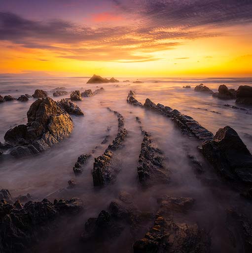 Cola de Dragón en la playa de Barrika al atardecer