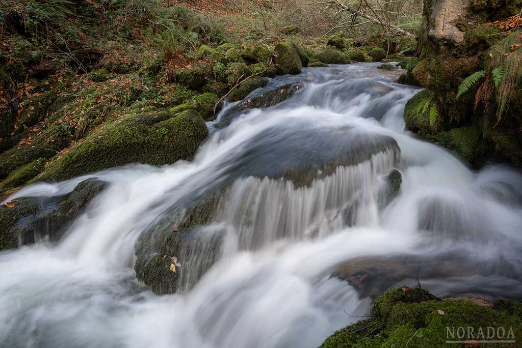 Nacedero del río Zirauntza en otoño