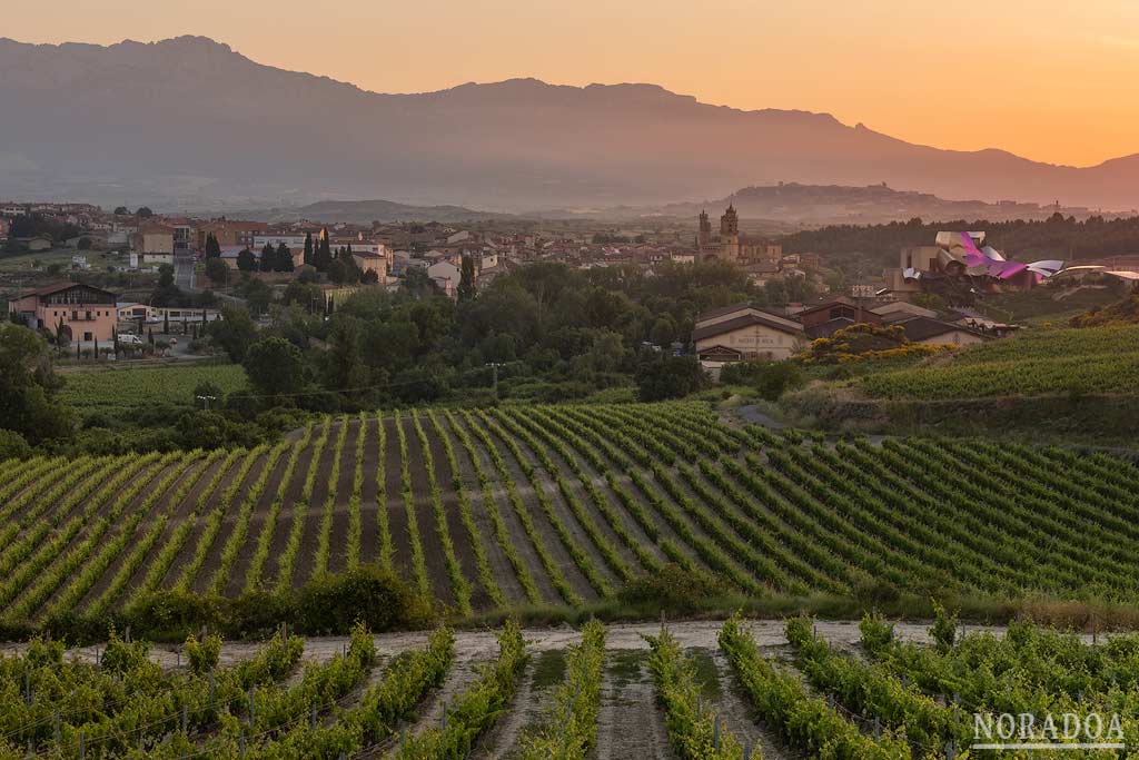 Viñedos y pueblo de Elciego en Rioja Alavesa