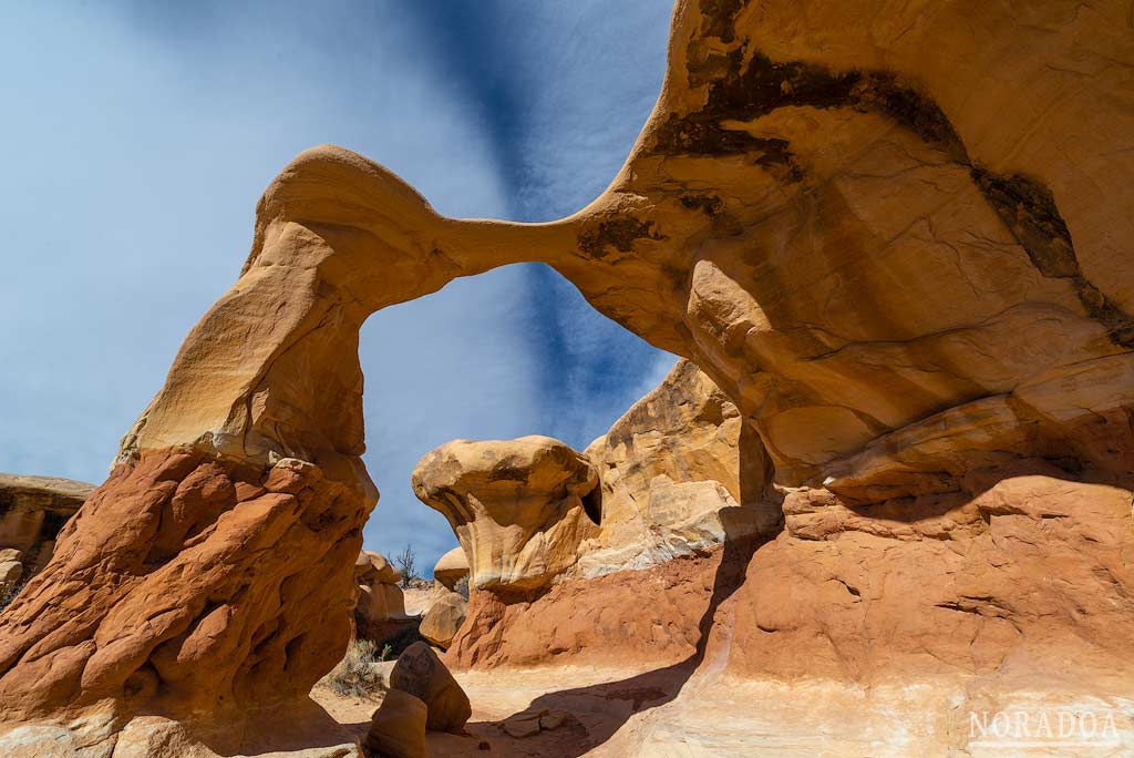 Metate en el parque Grand Staircase-Escalante