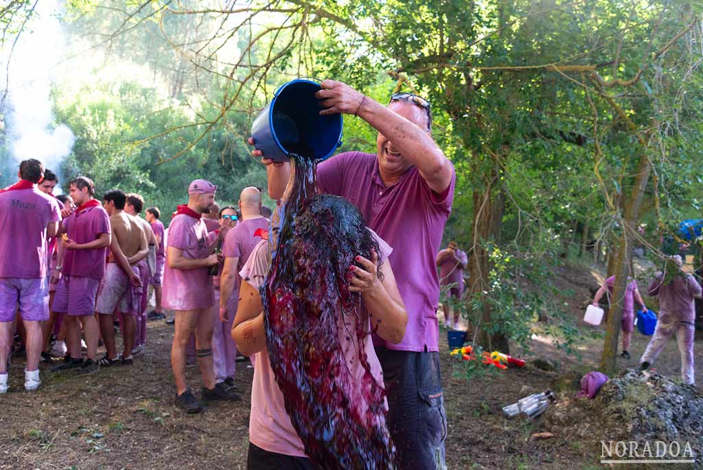 Batalla del Vino de Haro