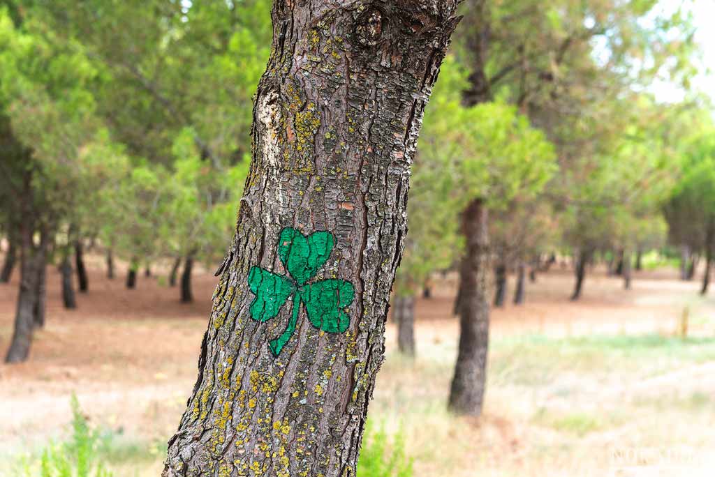 Bosque Biodivertido de Logroño