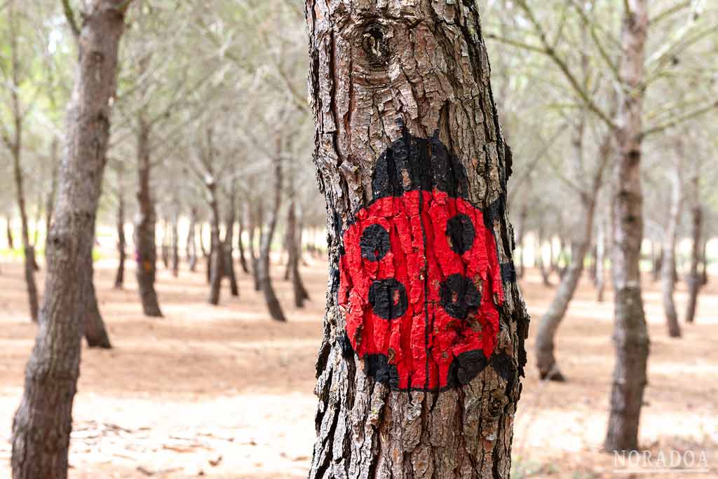 Bosque Biodivertido de Logroño