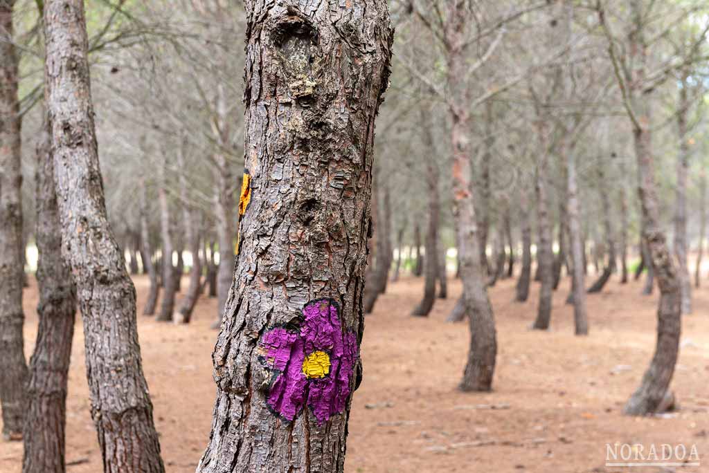 Bosque Biodivertido de Logroño