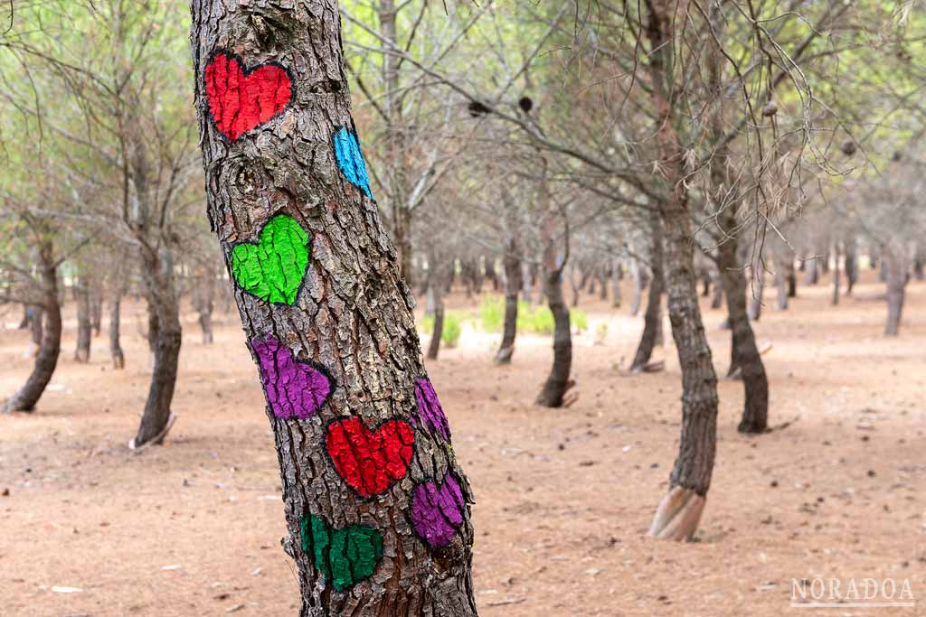 Bosque Biodivertido de Logroño