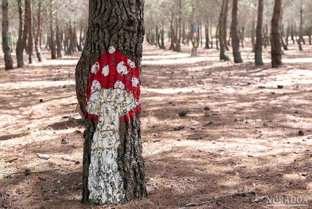 Bosque Biodivertido de Logroño