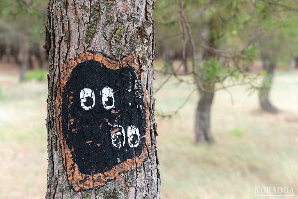 Bosque Biodivertido de Logroño