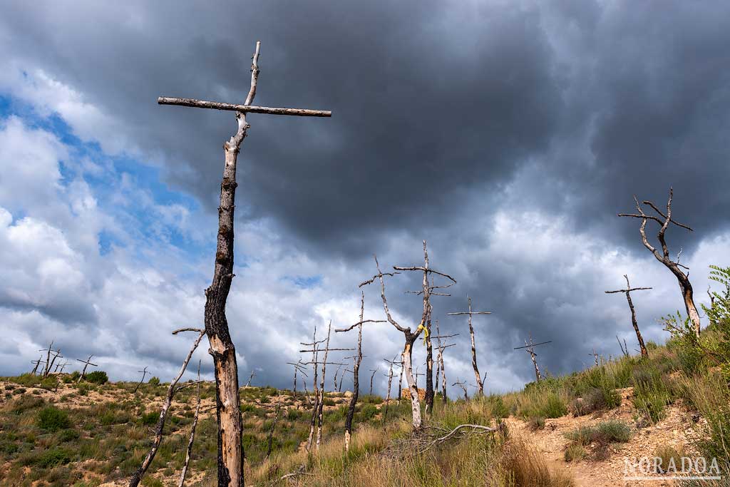 Bosque de las Cruces