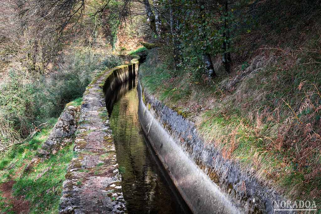 Zona boscosa junto a la Canaleta de Almandoz
