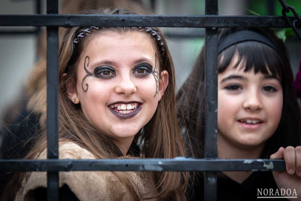 Carnaval rural de Alsasua / Altsasu en Navarra