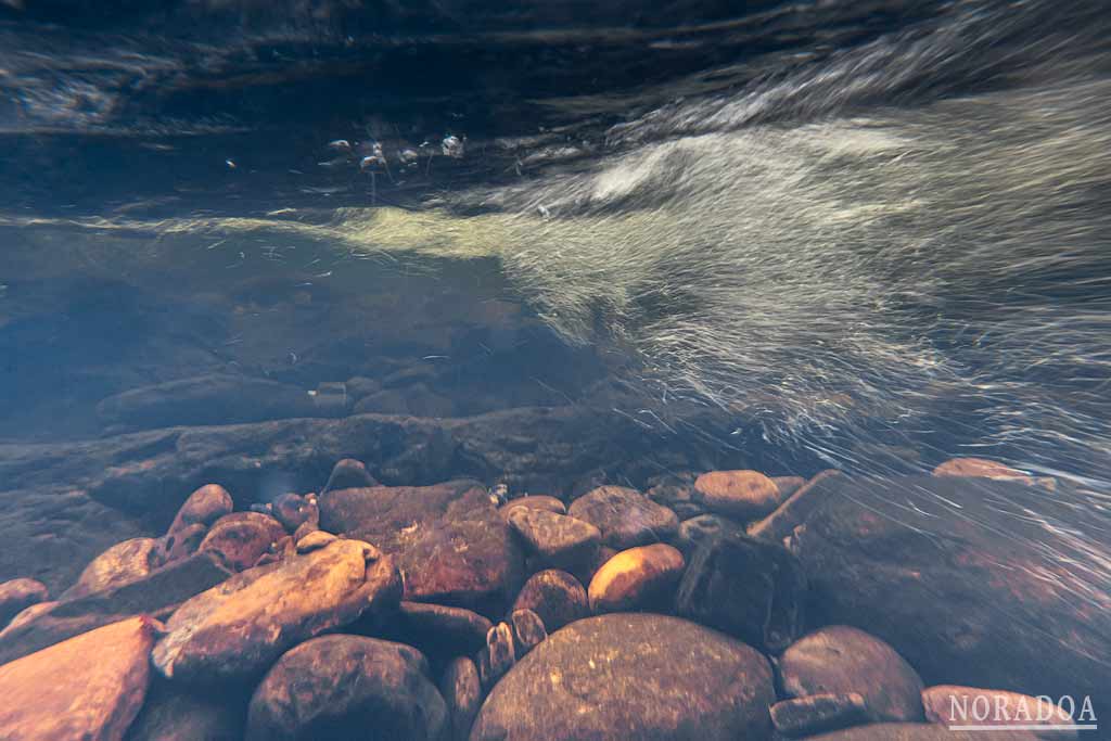 El fondo rocoso de un río da juego en las fotos
