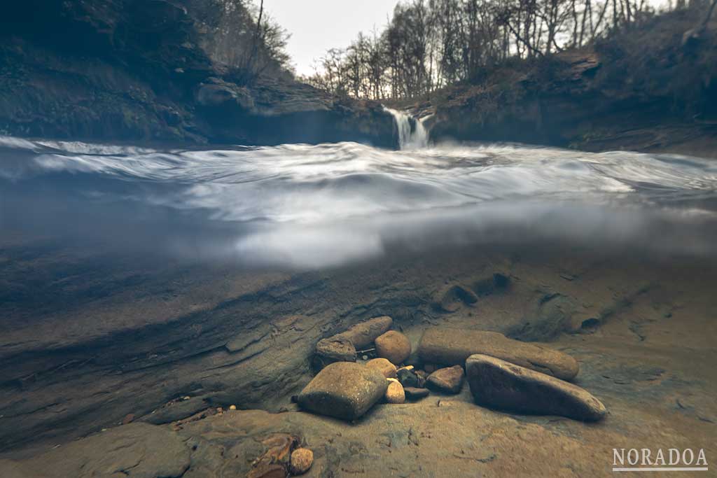 Fotografía bajo el agua con la cámara metida en una caja de plástico