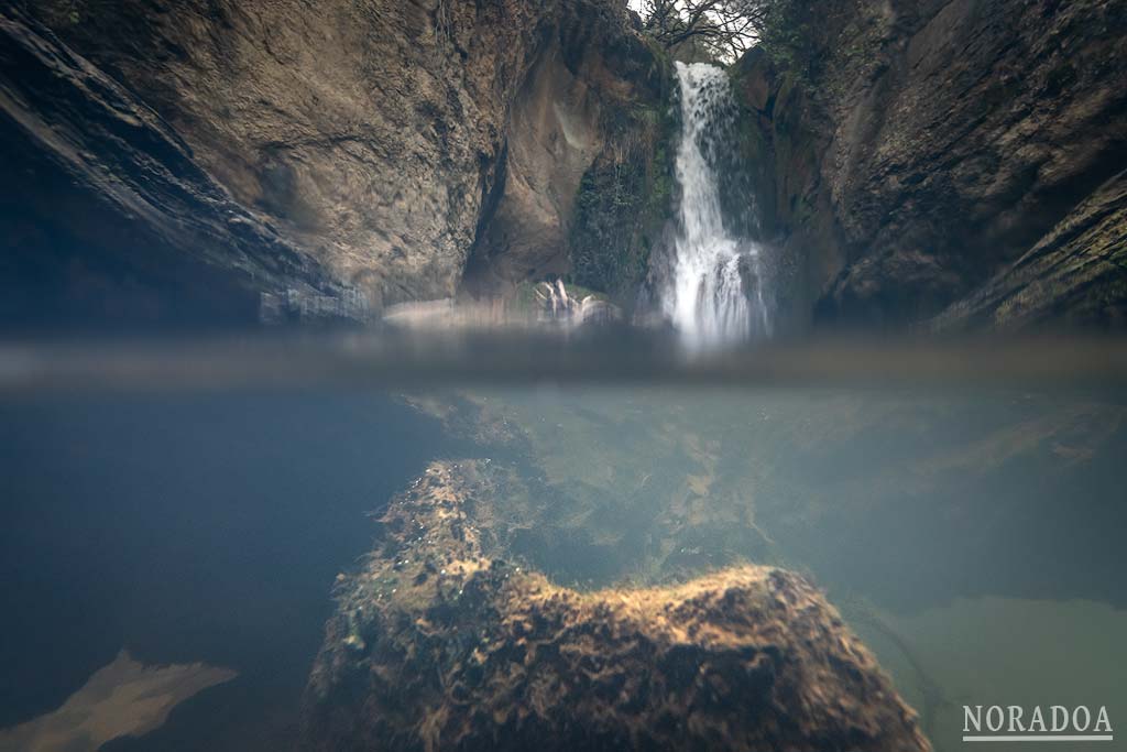 Fotografía bajo el agua con cámara de fotos