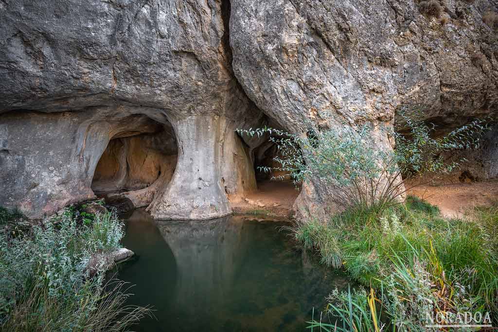 Río Pilde al paso por el cañón