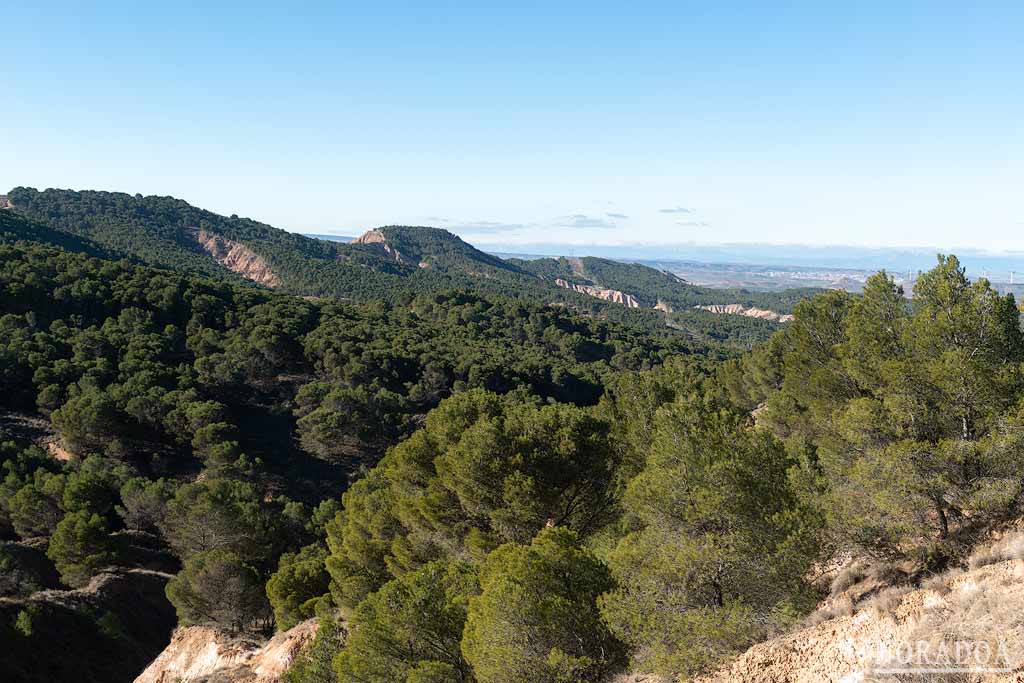 Los Agudos de Calahorra en La Rioja