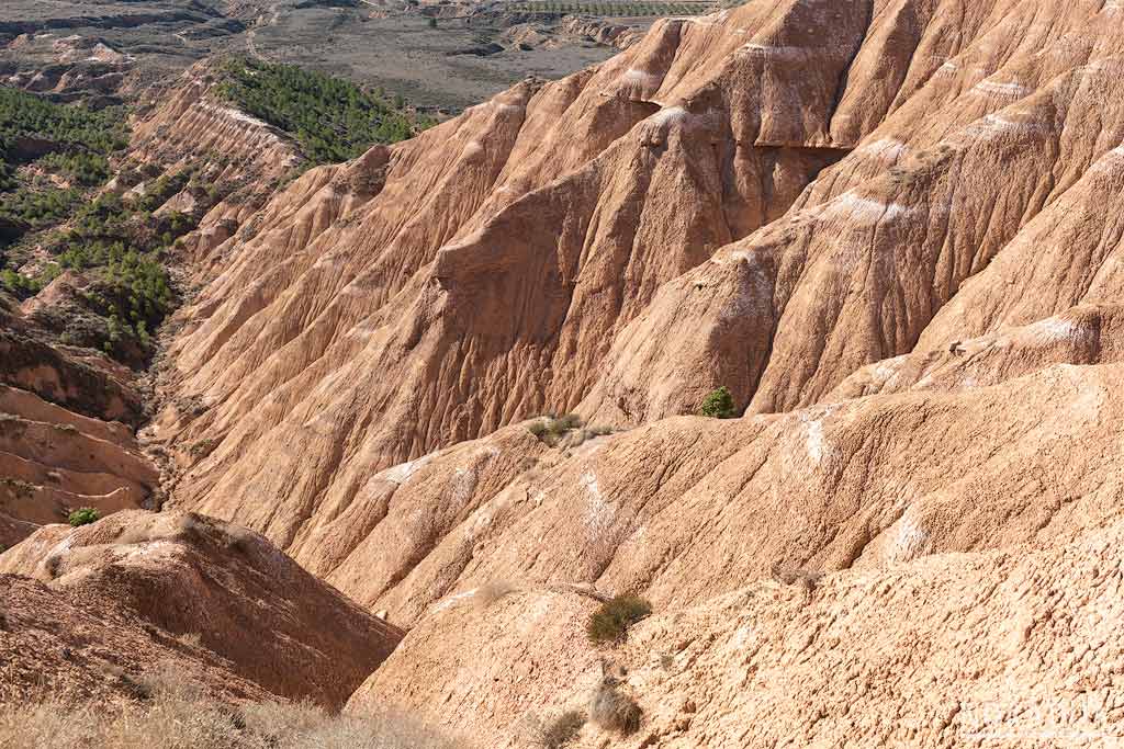 Los Agudos de Calahorra en La Rioja