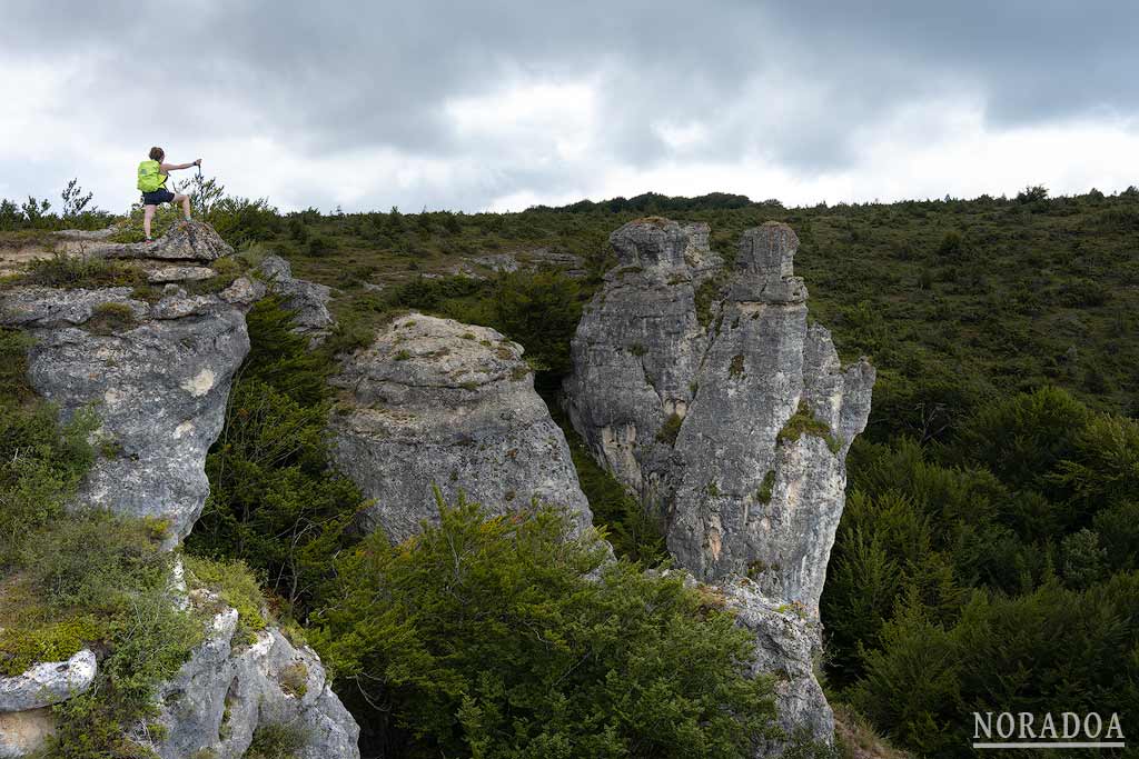Los Arrancaos del Parque Natural de Izki