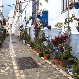 Alcalá de los Gazules